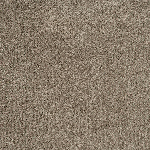 Camel 39 Bellaire Carpet 1.84m x 4m Remnant