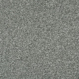 Chic Shadow 91 Tuftex Twist Carpet Clearance