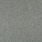 Chic Shadow 91 Tuftex Twist Carpet Clearance