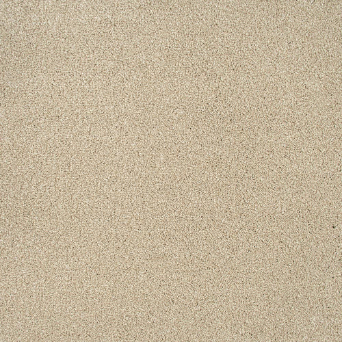 Coral White Sensation Heathers 60oz Carpet by Cormar 2.3m x 4m Remnant