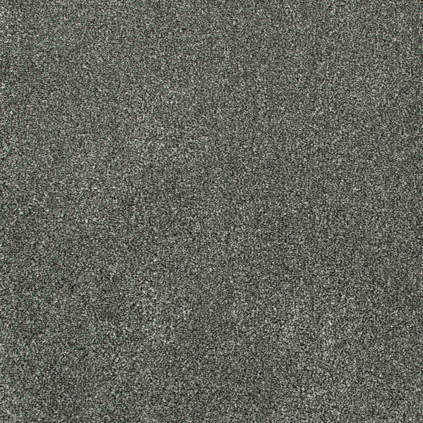 Gull Grey 76 Oxford Saxony Carpet 2m x 4m Remnant