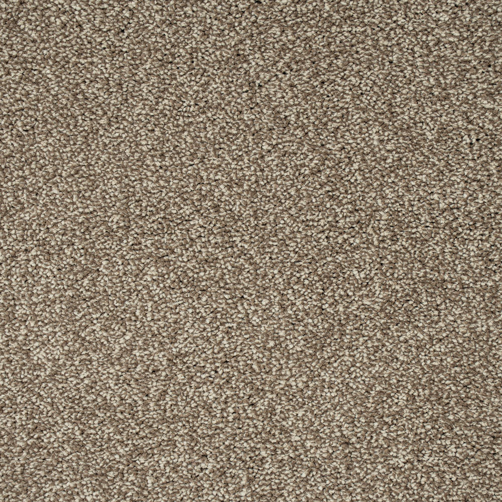 Light Brown 90 Emotion Elite Intenza Carpet Remnant | OnlineCarpets.co ...