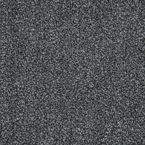 Nickel 277 Emotion Classic Intenza Carpet 5.79m x 5m Remnant