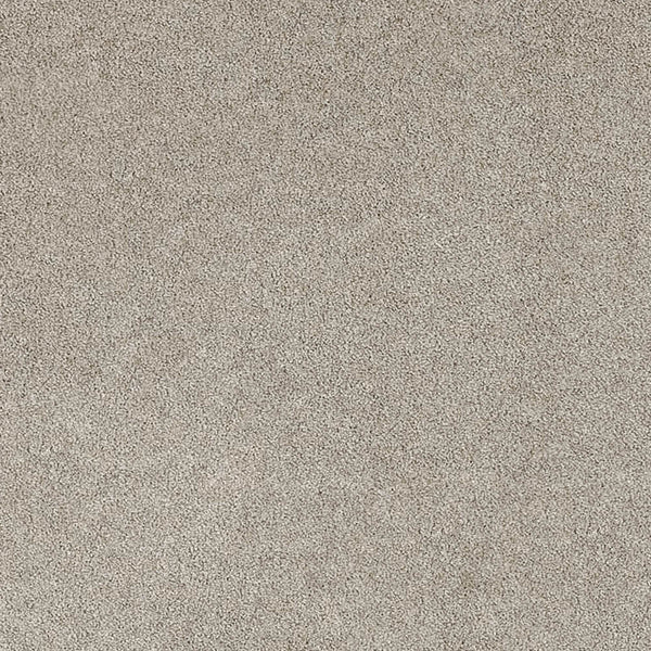 Suede 34 iSense Obsession Carpet