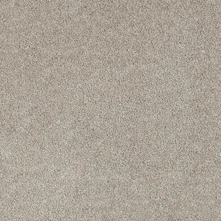 Suede 34 iSense Obsession Carpet