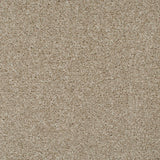 Oxford Stone 35 Tuftex Twist Carpet Clearance