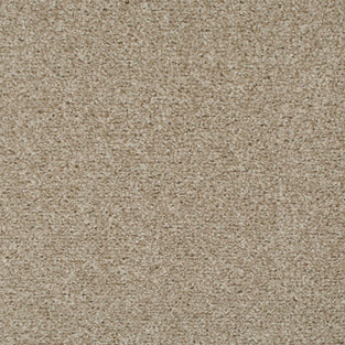 Oxford Stone 35 Tuftex Twist Carpet Clearance