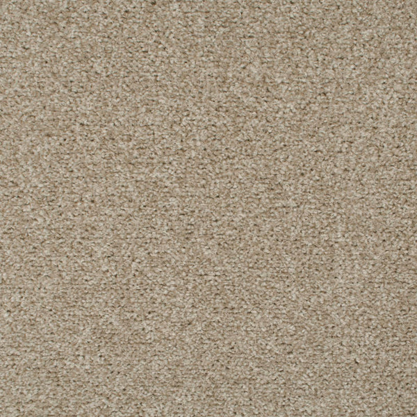 Oxford Stone 35 Tuftex Twist Carpet Clearance