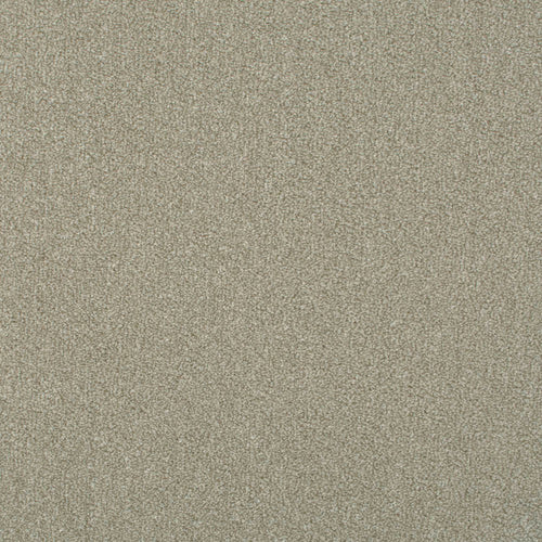 Pearl Beige 74 Palace Twist Carpet 2.54m x 4m Remnant