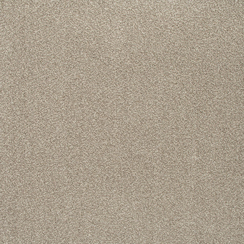 Pebble Beige 71 Emotion Classic Intenza Carpet 2.54m x 4m Remnant