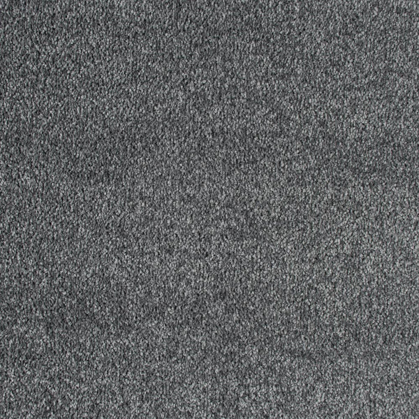 Platina 90 Bellaire Carpet 1.9m x 4m Remnant