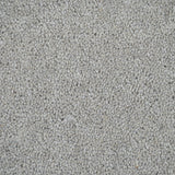 River Mist Pembroke Twist Carpet by Cormar