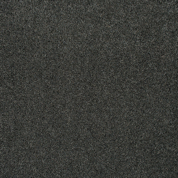 Rustic Grey 160 Imagination Twist Carpet 4.5m x 5m Remnant