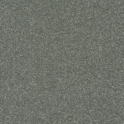 Silver Grey 75 Palace Twist Carpet 2.5m x 4m Remnant