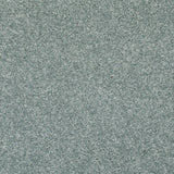 Steel Parade 47 Tuftex Twist Carpet Clearance