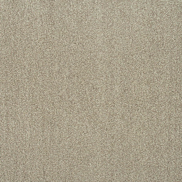 Stone Beige 72 Emotion Classic Intenza Carpet 1.82m x 5m Remnant