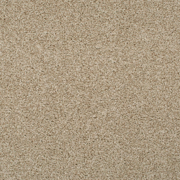 Summer Pecan 46 Tuftex Twist Carpet Clearance