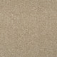 Summer Pecan 46 Tuftex Twist Carpet Clearance