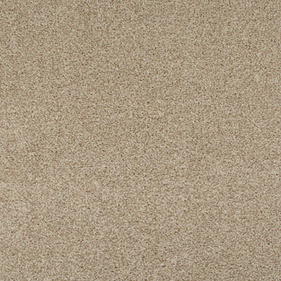 Summer Pecan 46 Tuftex Twist Carpet Clearance