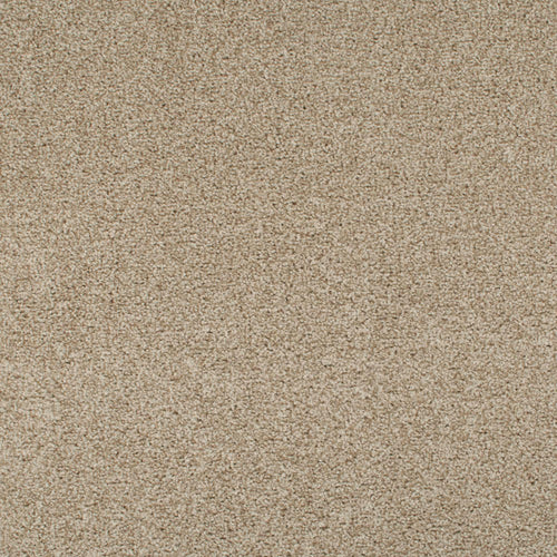 Summer Pecan 46 Tuftex Twist Carpet Clearance