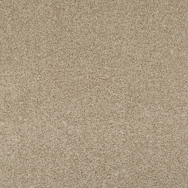 Summer Pecan 46 Tuftex Twist Carpet Clearance