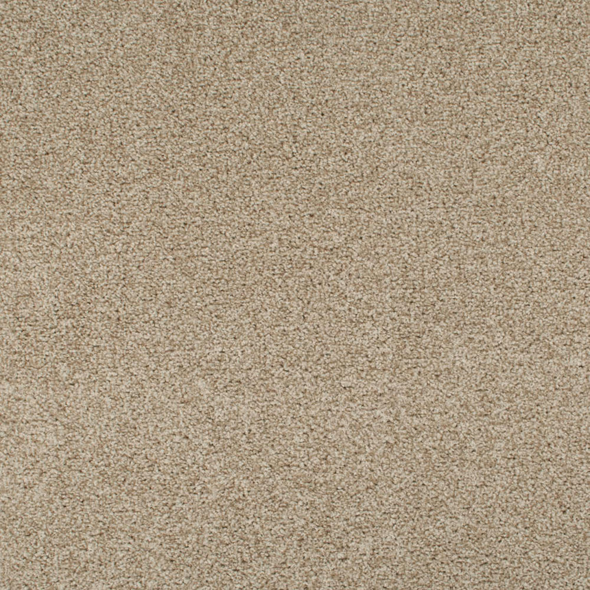 Tuftex Twist Carpet Clearance