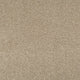 Summer Pecan 46 Tuftex Twist Carpet Clearance