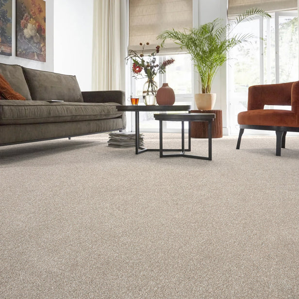 Vision Luxury Saxony Actionback Carpet