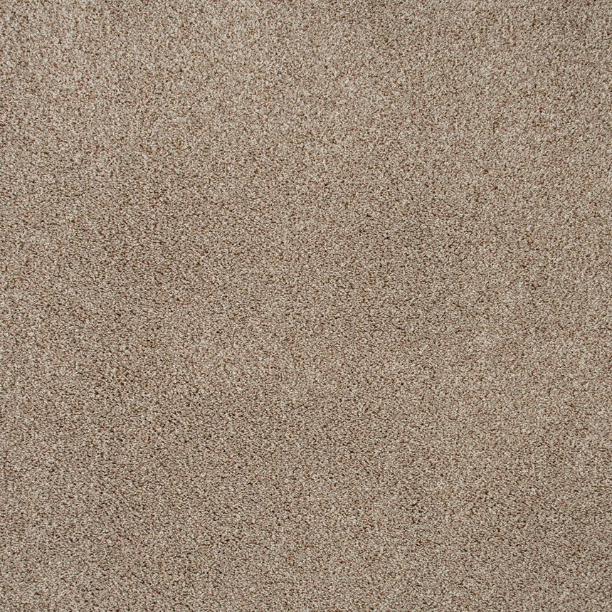 Walnut 964 Imagination Twist Carpet 2.55m x 5m Remnant