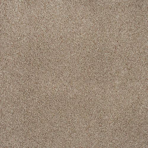 Walnut 964 Imagination Twist Carpet 2.55m x 5m Remnant