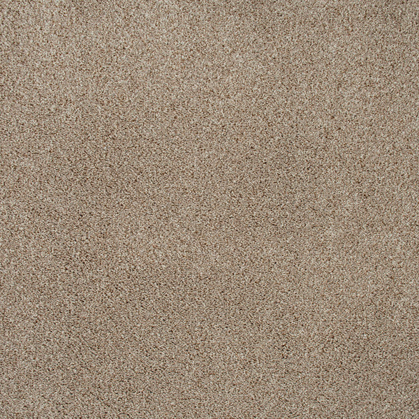 Walnut 964 Imagination Twist Carpet 2.55m x 5m Remnant