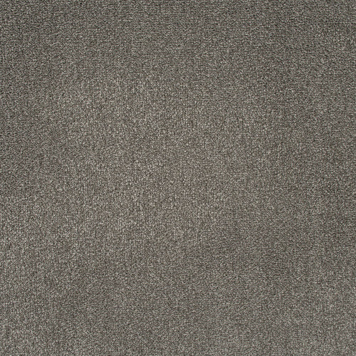 Warm Grey 77 Emotion Classic Intenza Carpet 1.97m x 4m Remnant