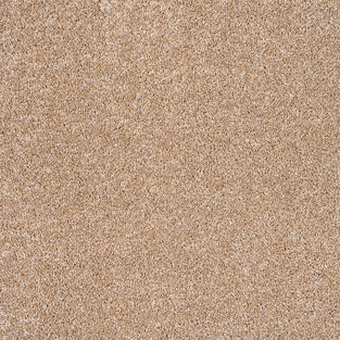 Almond 34 StainGuard Harvest Heathers Supreme Carpet