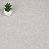 Almond Mousse Sensation Heathers 60oz Carpet by Cormar