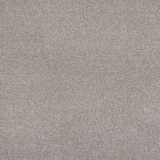 Alpine Stone Sensation Heathers 60oz Carpet by Cormar