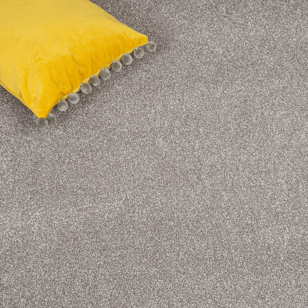 Alpine Stone Sensation Heathers 60oz Carpet by Cormar