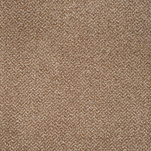 Amber 54 Stainaway Tweed Carpet