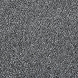 Anthracite Alabama Loop Carpet