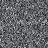 Anthracite Alabama Loop Carpet