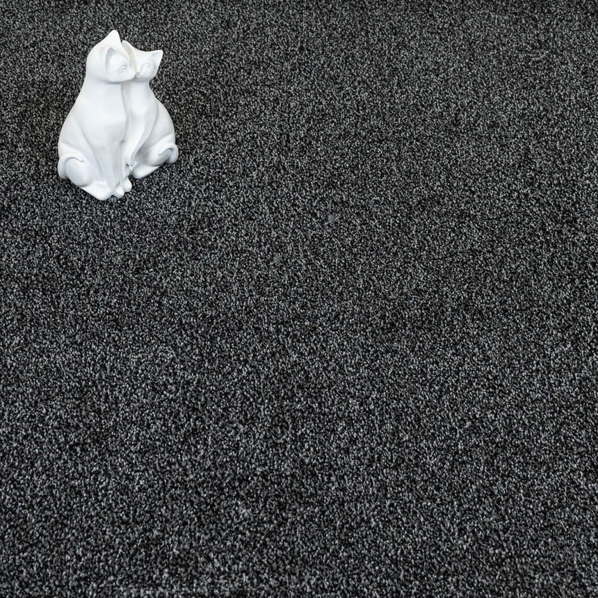 Anthracite Astra Saxony Carpet