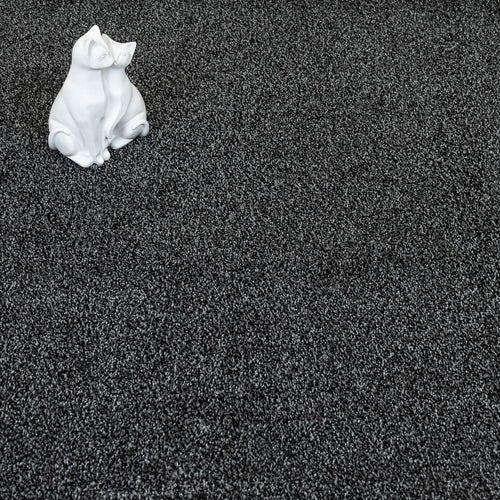 Anthracite Astra Saxony Carpet