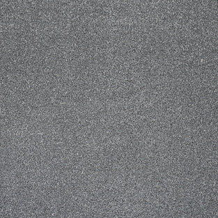 Anthracite Grey 76 Pisa Saxony Carpet