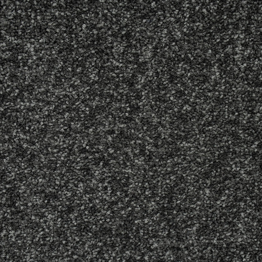 Anthracite Missouri Saxony Carpet 4.92m x 5m Remnant