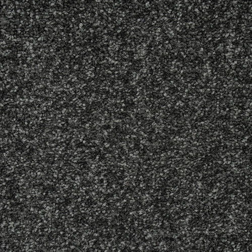 Anthracite Missouri Saxony Carpet 4.92m x 5m Remnant