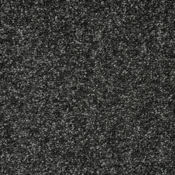 Anthracite Missouri Saxony Carpet 4.92m x 5m Remnant