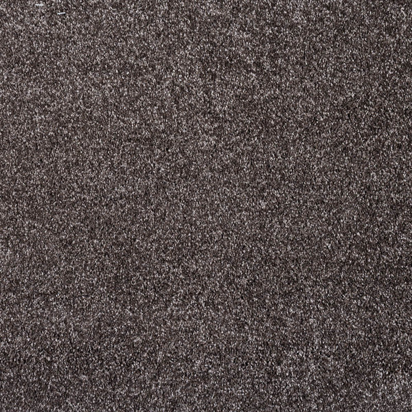 Attic 40 Yukon Gaia Carpet