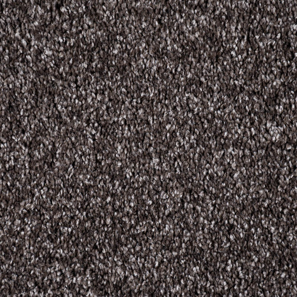 Attic 40 Yukon Gaia Carpet