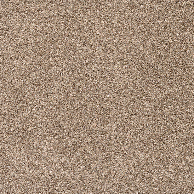 Autumn Trail Trinity Twist Carpet by Cormar