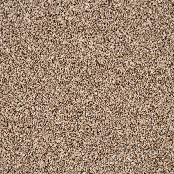 Autumn Trail Trinity Twist Carpet