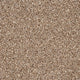 Autumn Trail Trinity Twist Carpet